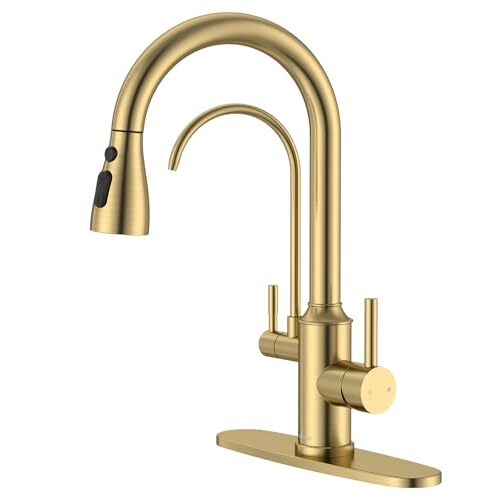 Kitchen faucet with water - kitchen,